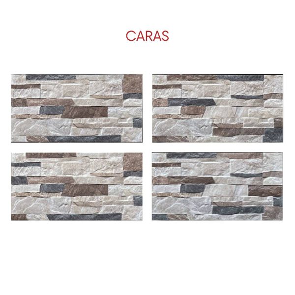 FACHADA SALITRE MIX 31X60 CM