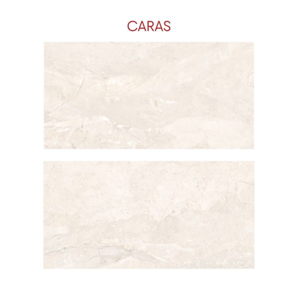 PARED SALVADOR BEIGE 31X60 CM