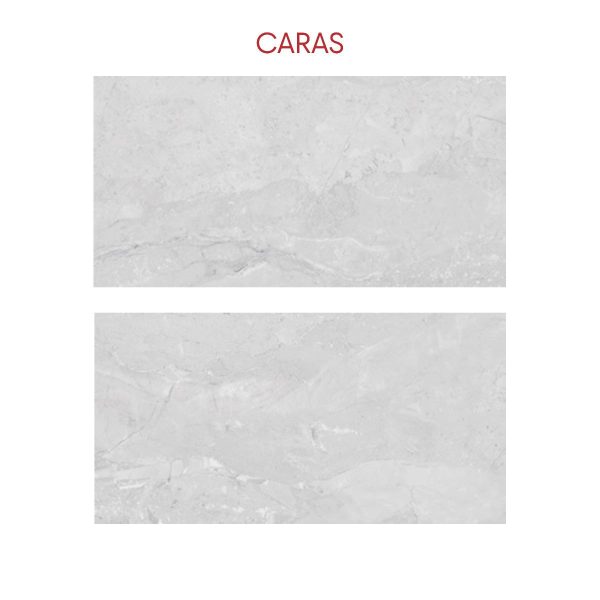 PARED SALVADOR GRIS 31X60 CM