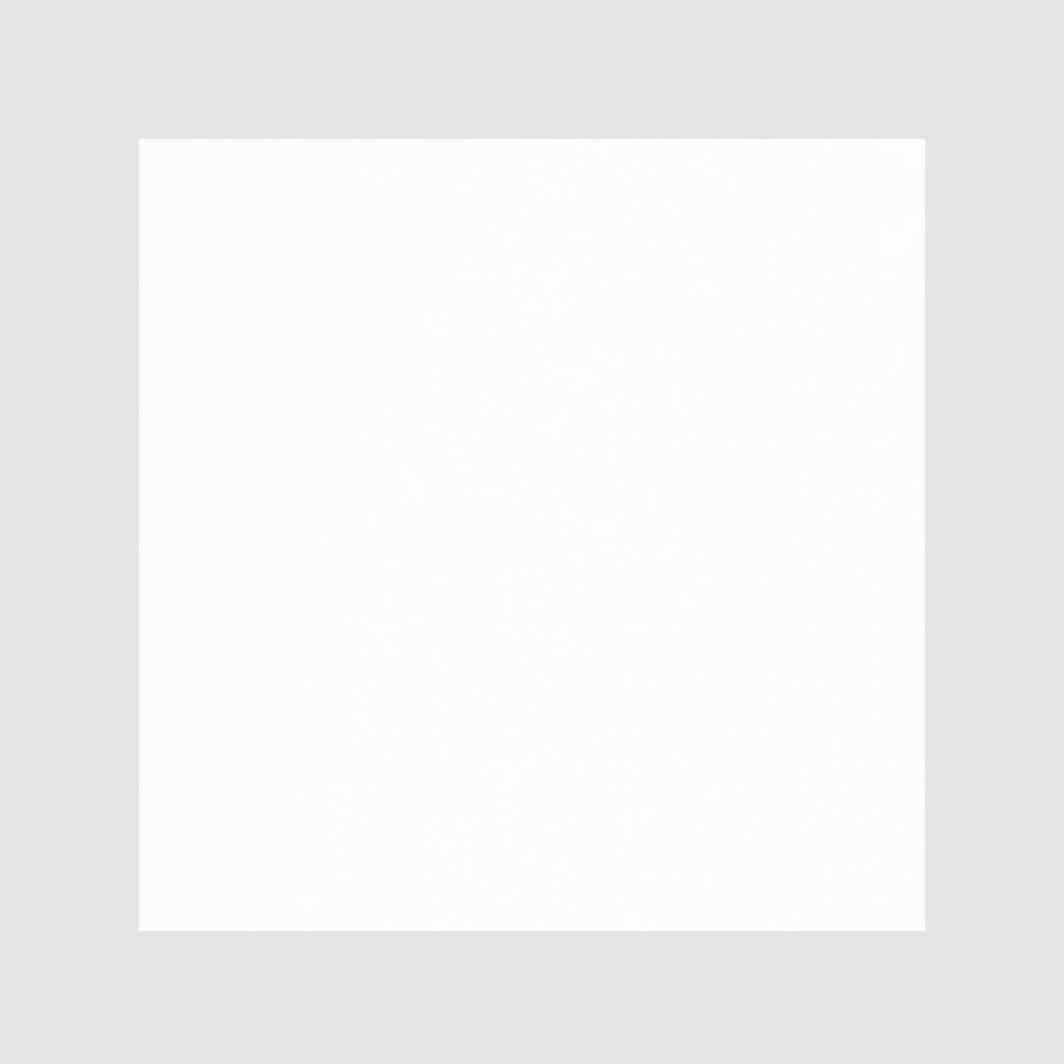 PORCELANATO FROZEN BLANCO 60X60 CM - Image 1