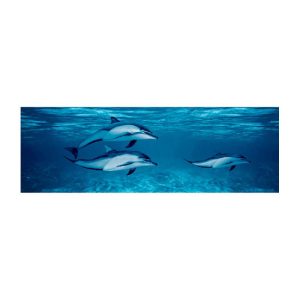 DECORADO DELFINES MULTICOLOR 20X60 CM
