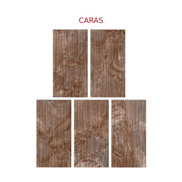 PARED MARMOL PACIFICO 31X60 CM