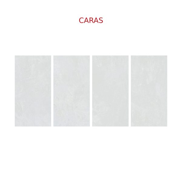 PISO Y PARED FORTALEZA NIEVE 31X60 CM