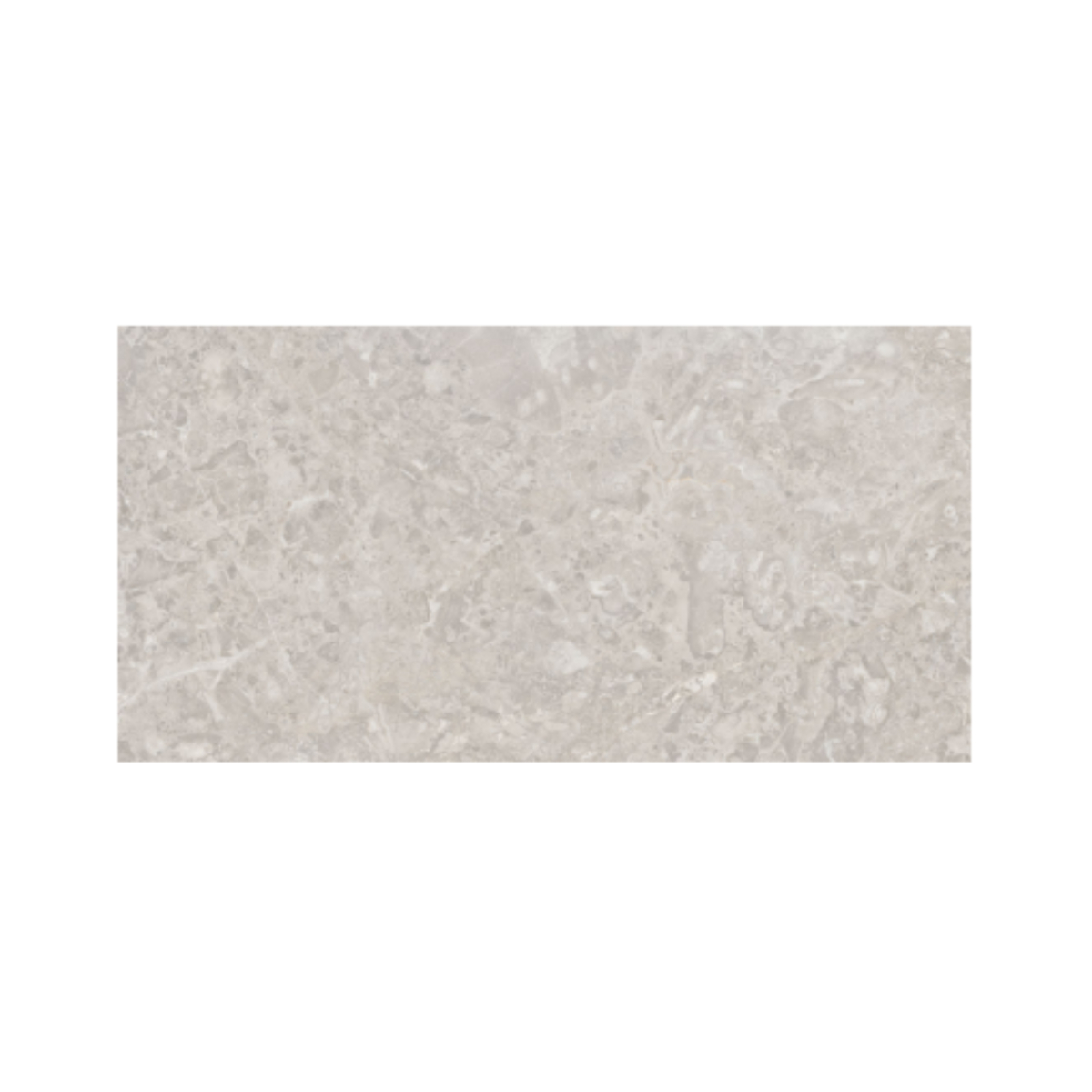 PISO Y PARED EXPEDICION SKERPAS MARFIL 31X60 CM - Image 1
