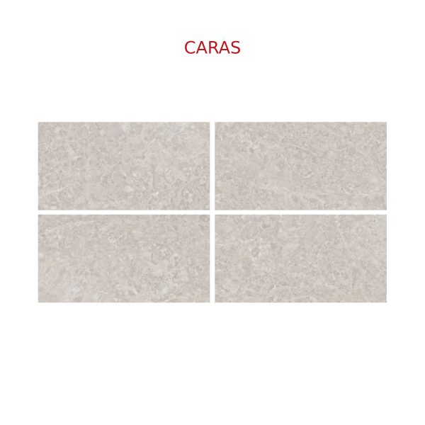 PISO Y PARED EXPEDICION SKERPAS MARFIL 31X60 CM