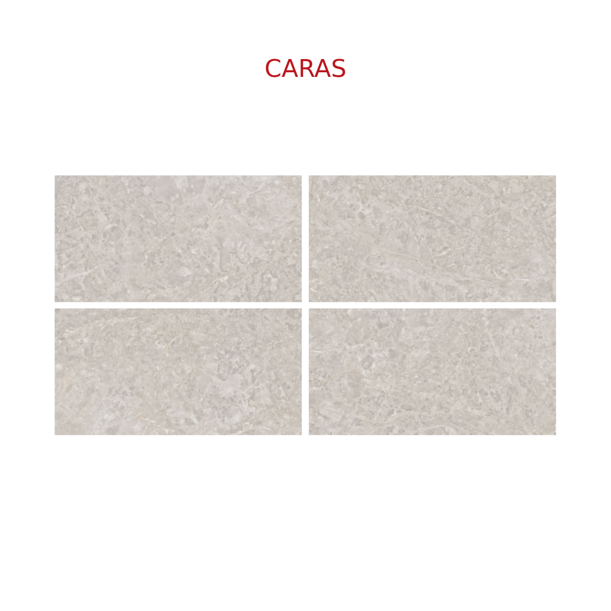 PISO Y PARED EXPEDICION SKERPAS MARFIL 31X60 CM - Image 3