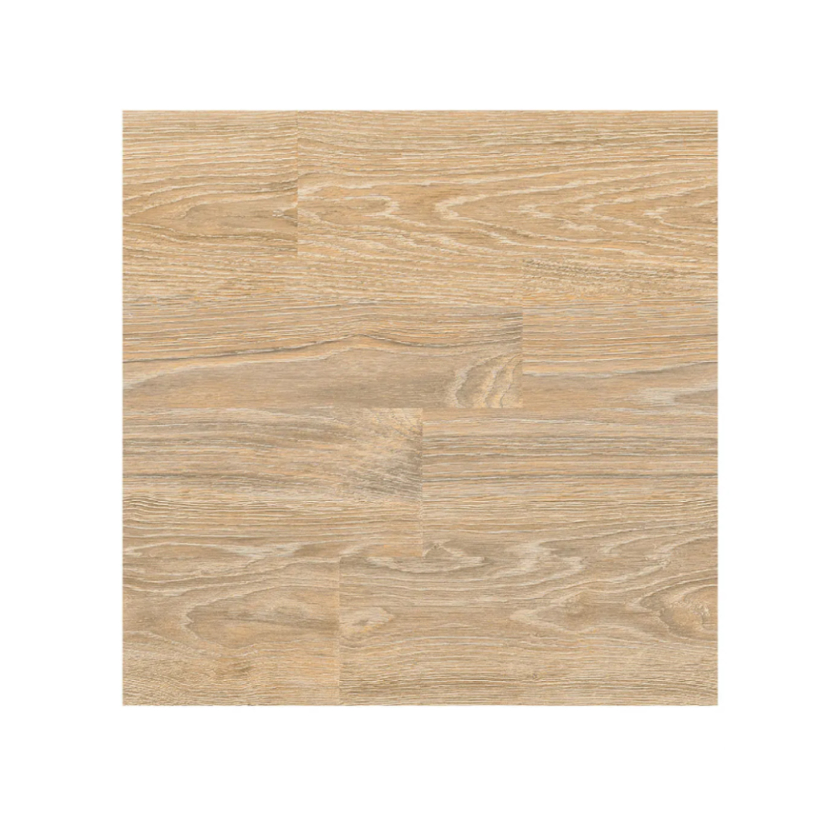PISO LISTON CASTELLANA LATTE 60X60 CM - Image 1