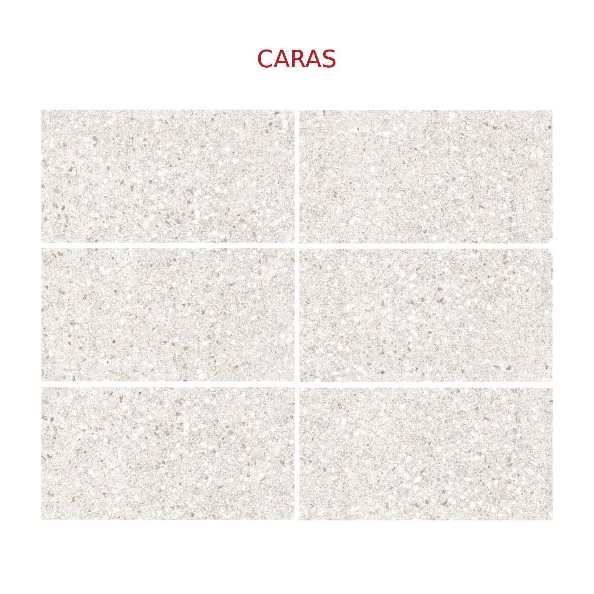 PISO Y PARED GRANILITE GRIS 31X60 CM - Image 3