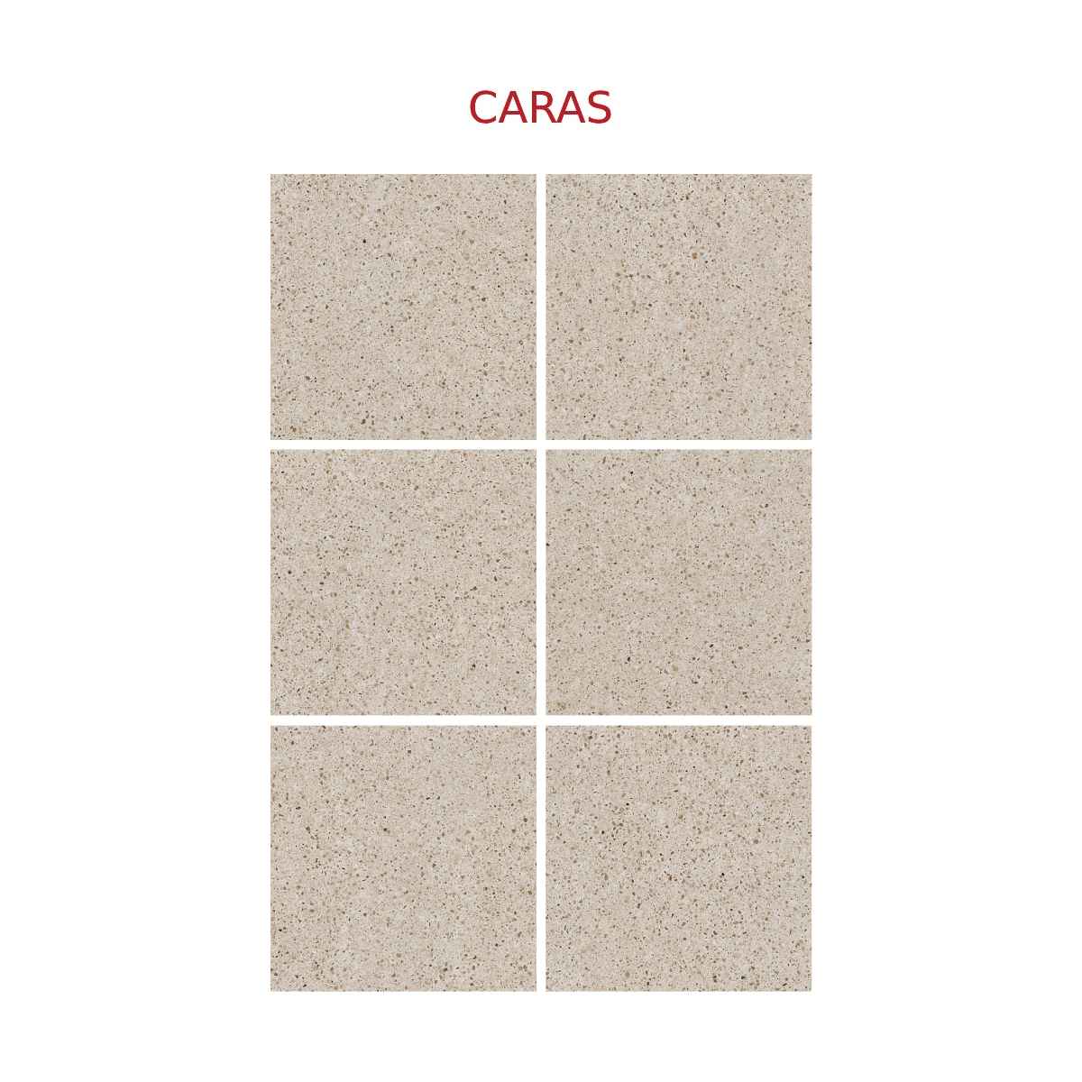 PISO CHAMPS 44.8X44.8 CM - Image 3