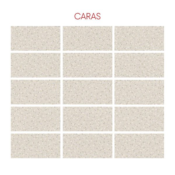 PARED BOULEVARD 30X60 CM