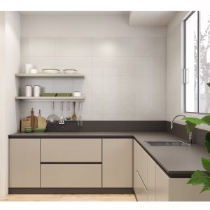 PARED CEPA CLEAN PLUS RECT 31X60 CM - Image 2
