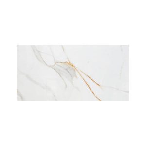PORCELANATO ESMALTADO REGAL CARRARA 60X120 CM