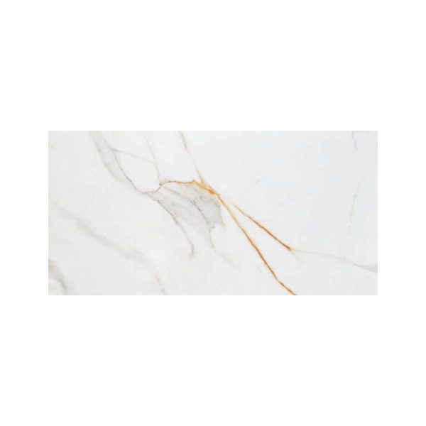 PORCELANATO ESMALTADO REGAL CARRARA 60X120 CM