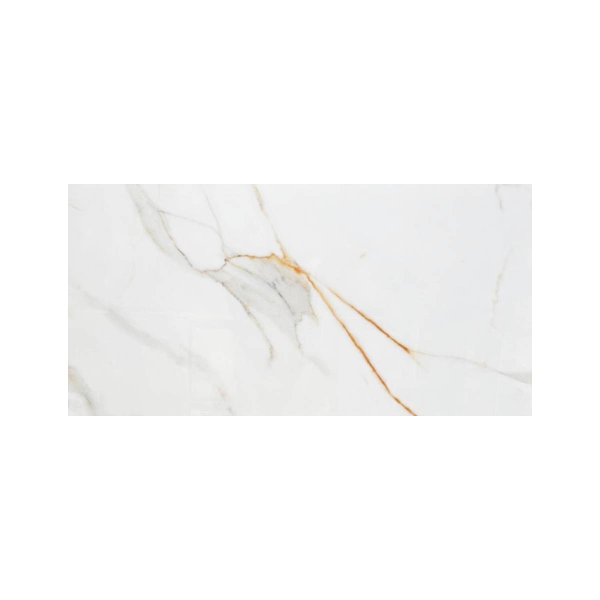 PORCELANATO ESMALTADO REGAL CARRARA 60X120 CM - Image 1
