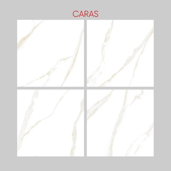 PORCELANATO ALPES GOLD DP61100 61X61 CM