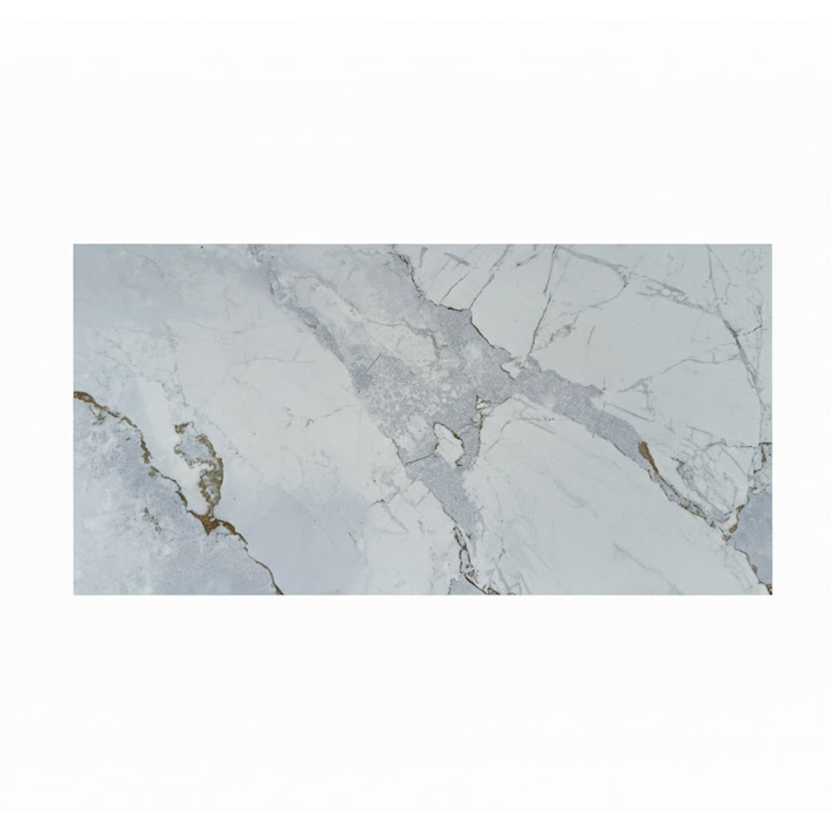 PARED ARKA BEGONIA KV36672 30X60 CM - Image 1