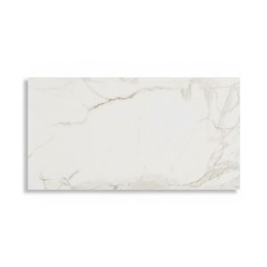 PORCELANATO VENATO SATVARIO MATE 60X120 CM