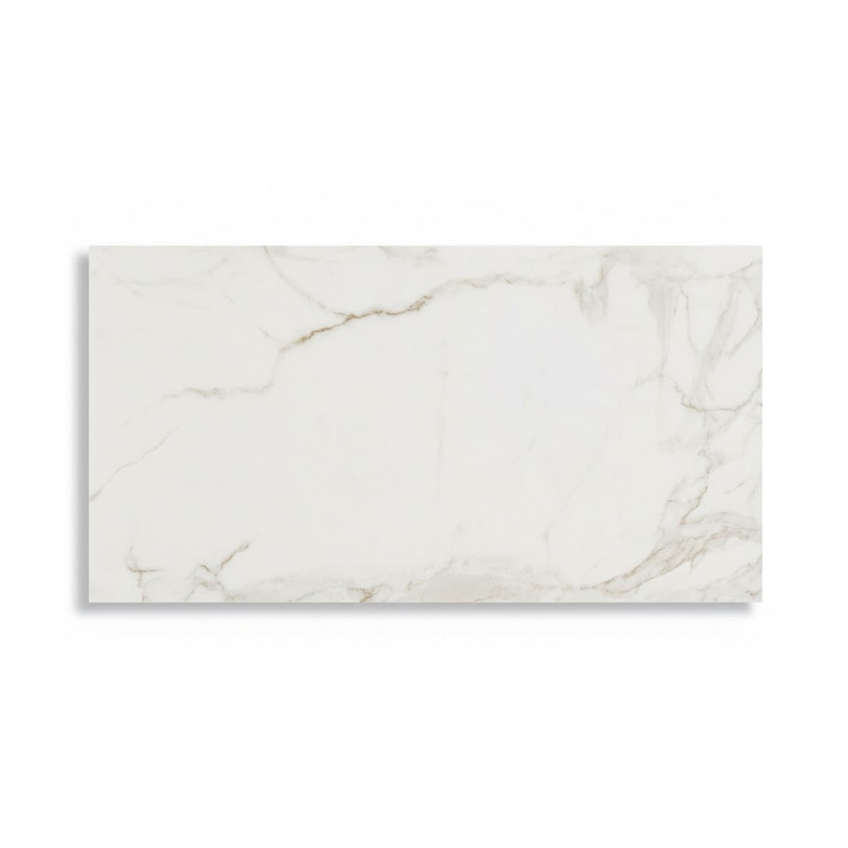 PORCELANATO VENATO SATVARIO MATE 60X120 CM - Image 1
