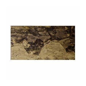 FACHADA POMPEYA TERRA 30X60 CM
