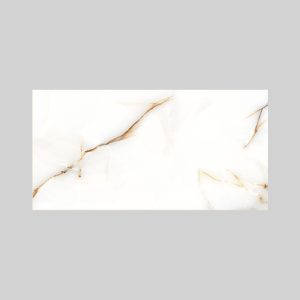 PORCELANATO DU-50173 ONYX 60X120 CM