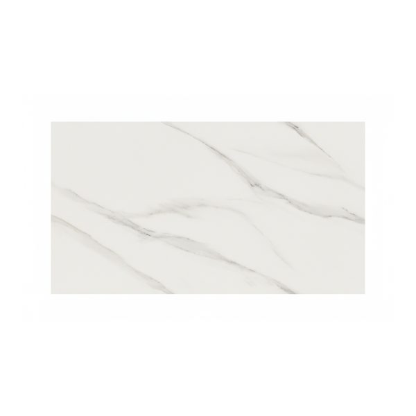 PORCELANATO ESMALTADO SATWARIO WHITE 60X120 CM
