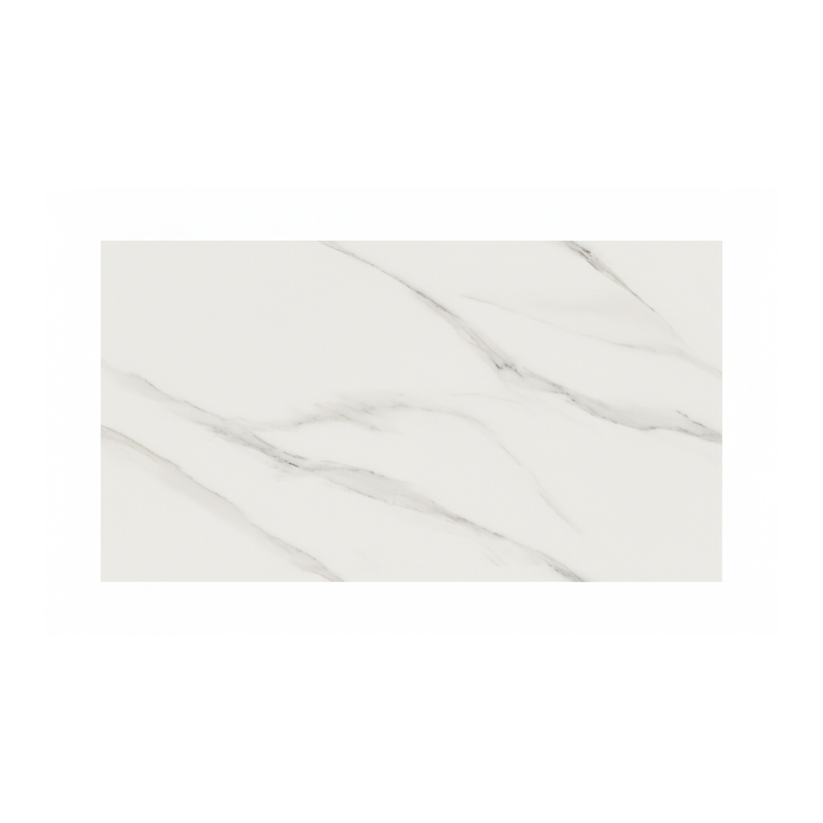 PORCELANATO ESMALTADO SATWARIO WHITE 60X120 CM - Image 1