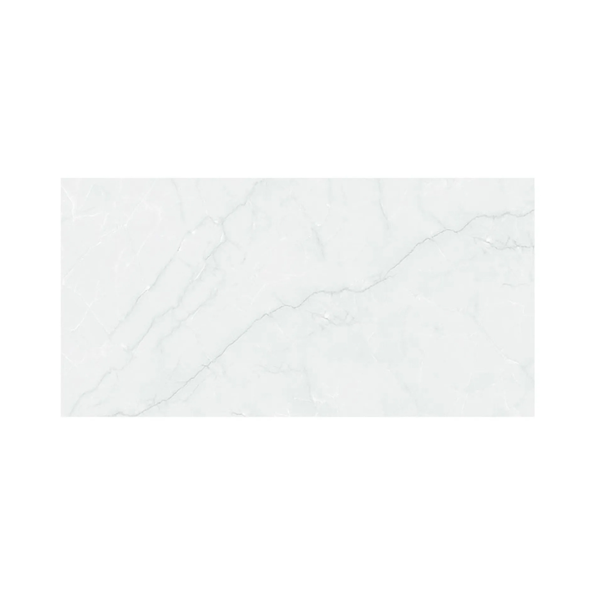 PARED SARISA GRIS 30X60 CM - Image 1