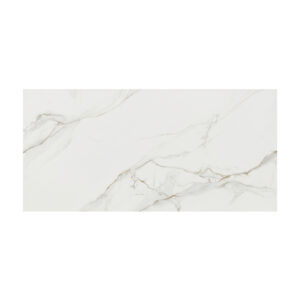 PARED BLANCA RECTIFICADA REF. DLYG63005 30X60 CM