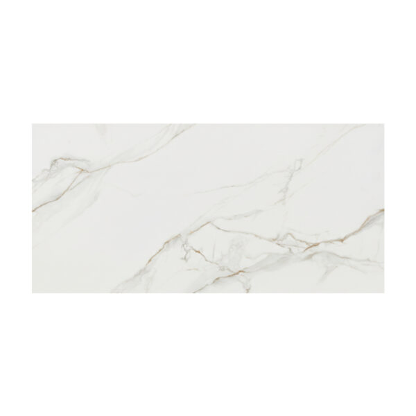 PARED BLANCA RECTIFICADA REF. DLYG63005 30X60 CM