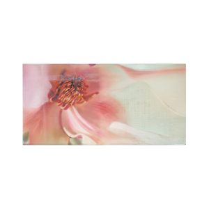 DECORADO IRINA ROSA 25X50 CM