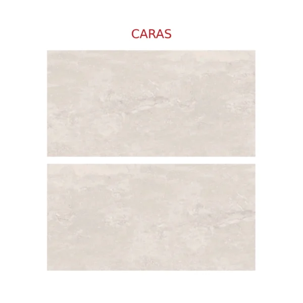 PARED FENIX NATURAL 31X60 CM EN SEGUNDA