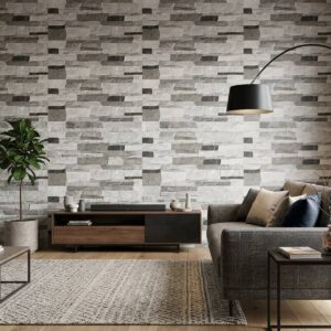 PARED FACH SALITRE GRIS HUMO 31X60 SEGUNDA - Image 3