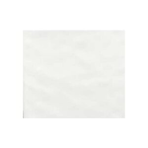 PARED OASIS BLANCO BR 20X20 - Image 1
