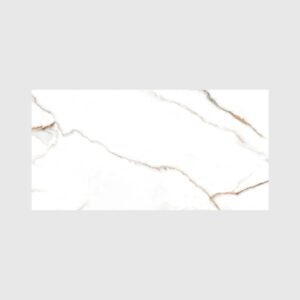 PORCELANATO ESMALTADO GOLD SPECIAL 60X120 CM