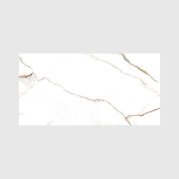 PORCELANATO ESMALTADO GOLD SPECIAL 60X120 CM