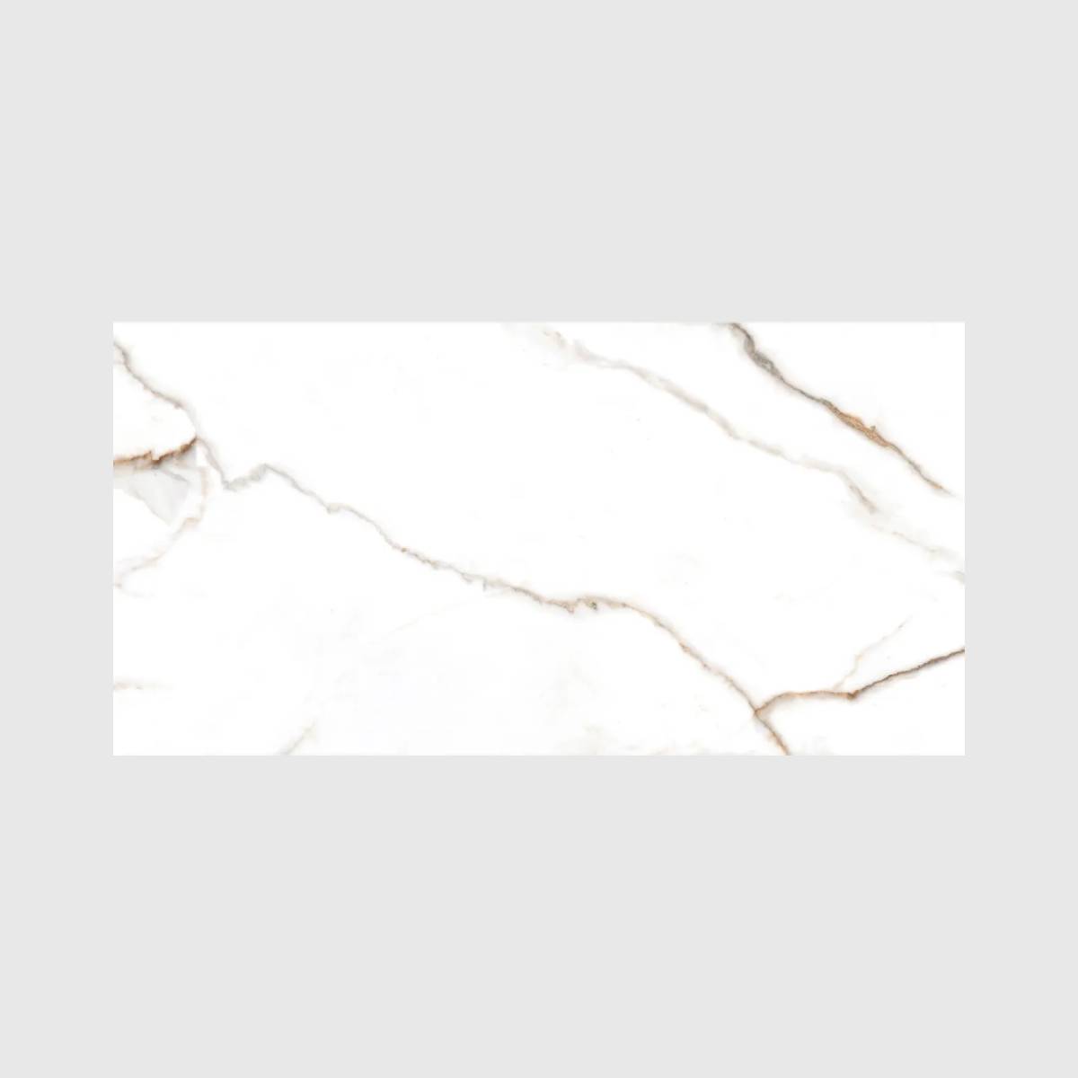 PORCELANATO ESMALTADO GOLD SPECIAL 60X120 CM - Image 1