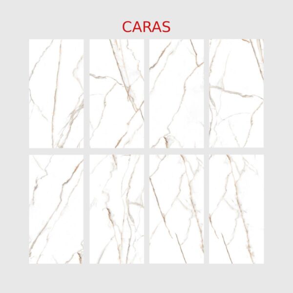 PORCELANATO ESMALTADO GOLD SPECIAL 60X120 CM