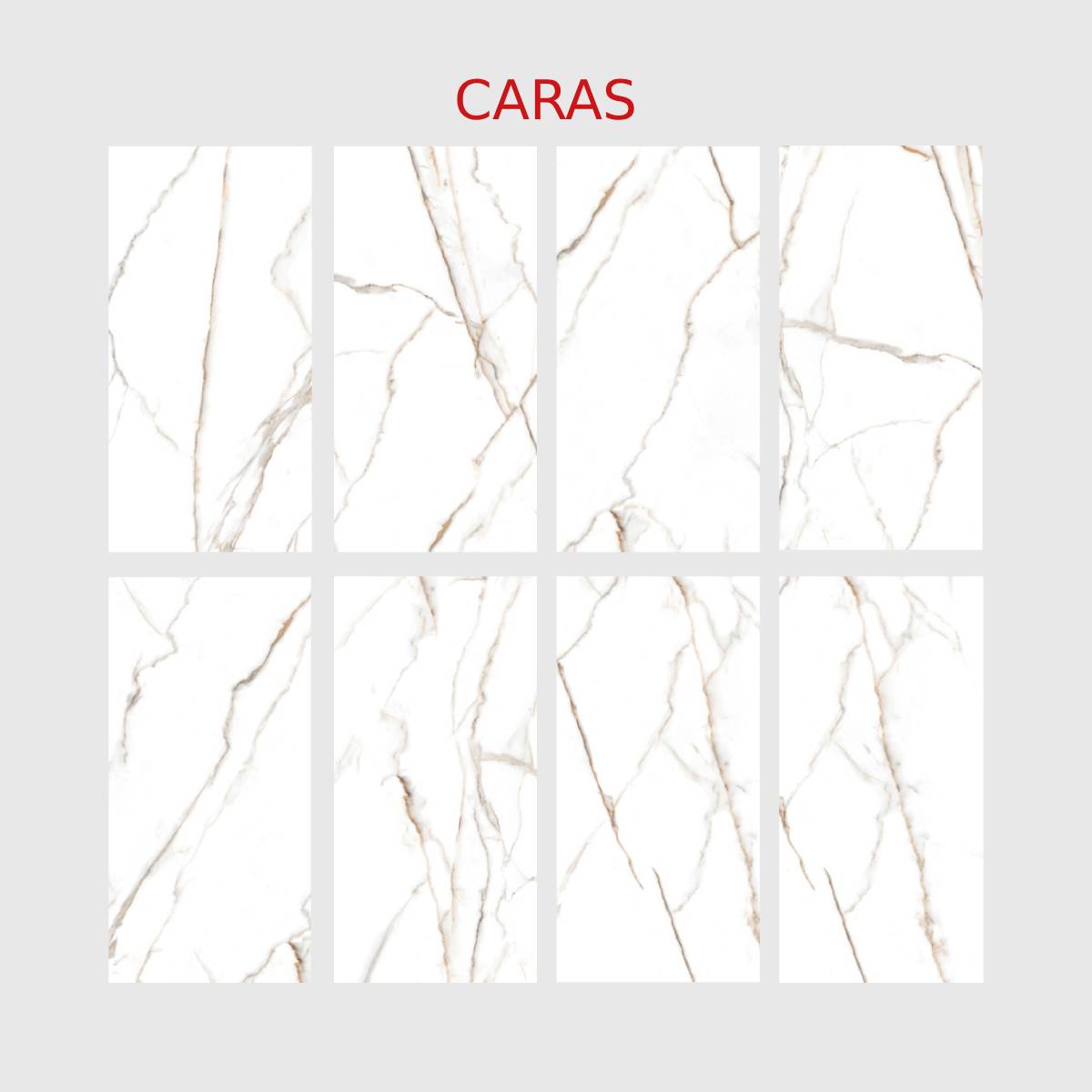 PORCELANATO ESMALTADO GOLD SPECIAL 60X120 CM - Image 3